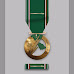 Saudi military medal for the heroes of the Yemen campaign