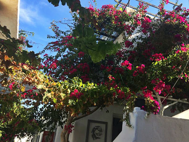 paros isole cicladi grecia