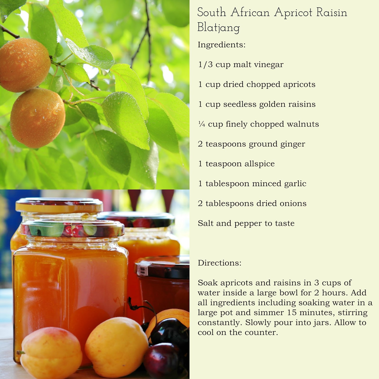 Easy South African Fruit Sauce Recipe Chic African Culture