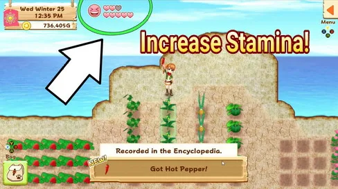 How to Increase Stamina in Harvest Moon: Light of Hope
