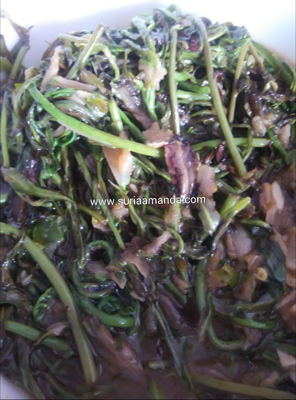Hilang Mengidam Sayur Pucuk Midin Suria Amanda