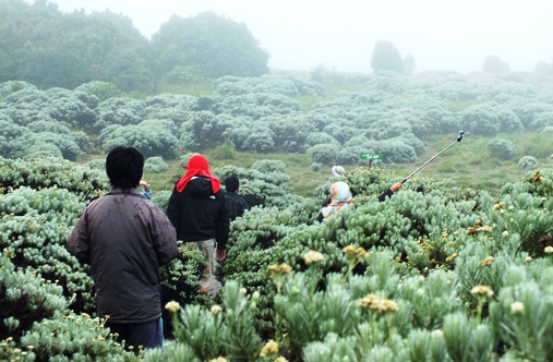 gunung papandayan garut