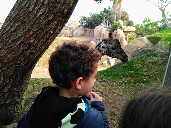 bioparc