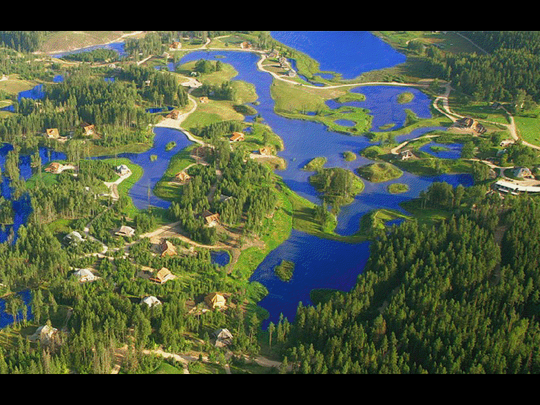 DESDEMISOFÁ LA LEYENDA DEL SAUCE LLORÓN