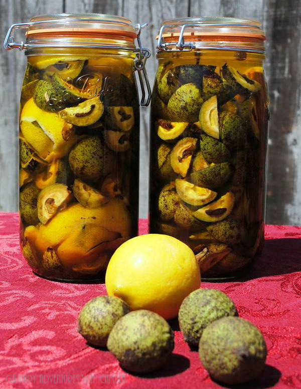 Nocino, a Green Walnut Liqueur from Emilia-Romagna #ItalianFWT