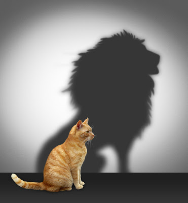 Image of a cat, with the shadow of a lion