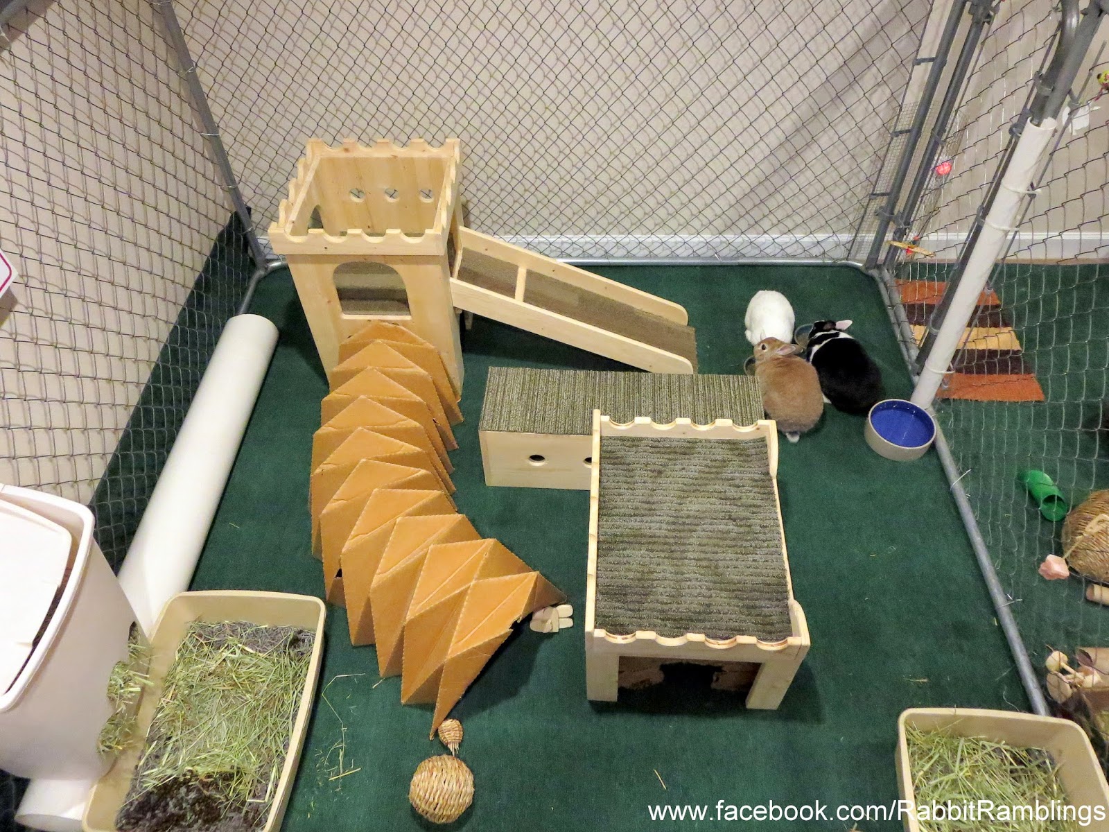 Rabbit Ramblings Rearranging the bunny furniture