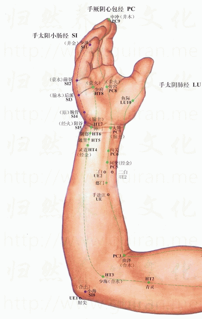腕骨穴位 | 腕骨穴痛位置 - 穴道按摩經絡圖解 | Source:zhentuiyixue.com