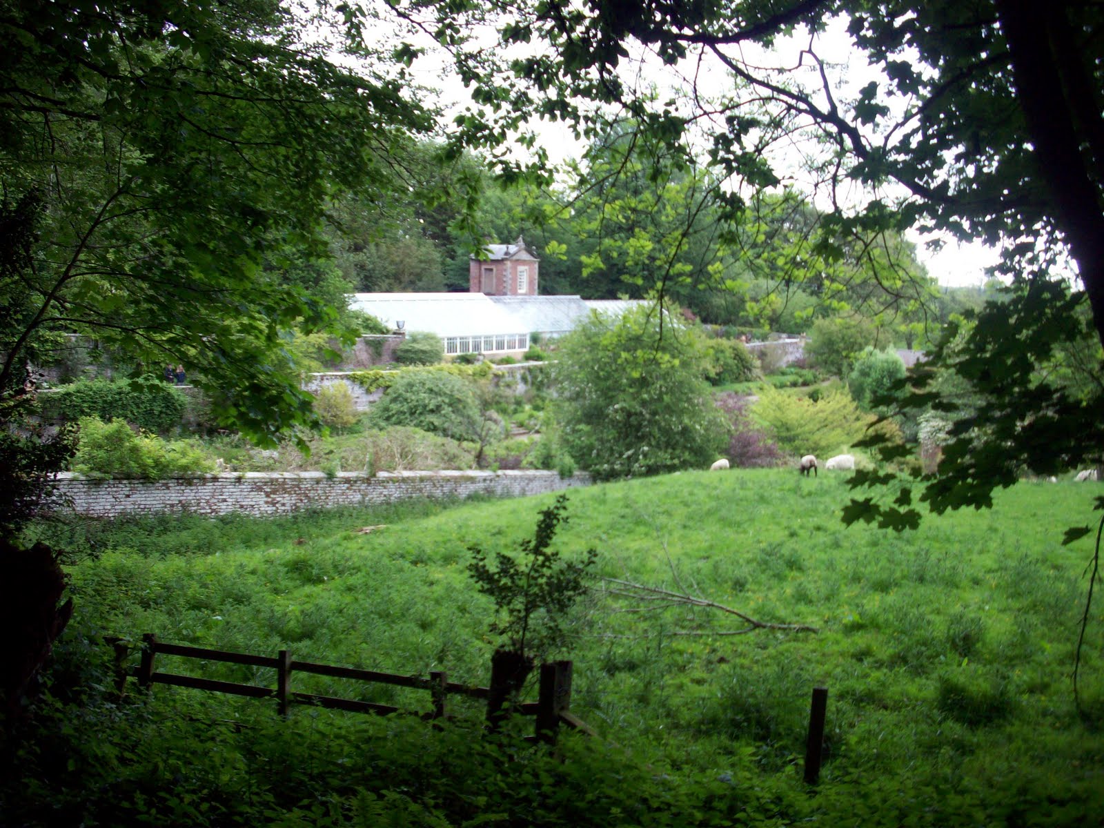 Wallington Hall Views around the Grounds and Walled Garden 01/06/11