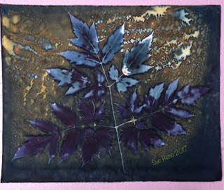 Wet Cyanotype_Sue Reno_Image 64