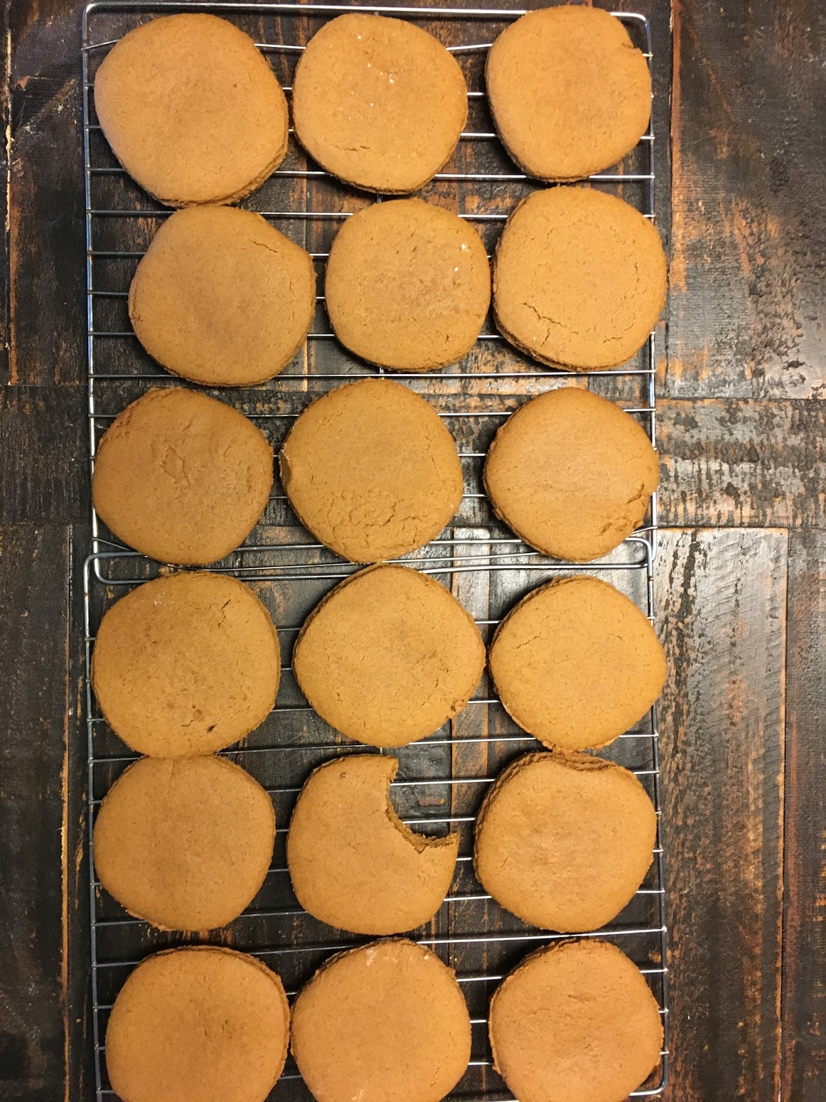 Author Michelle Shocklee Authentic Civil War Molasses Cookies