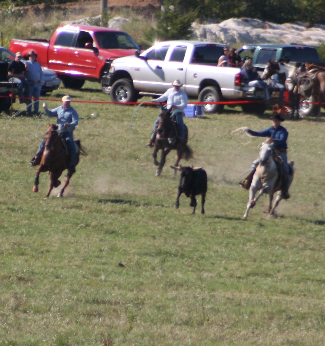 PairADice Mules: More Pasture Roping