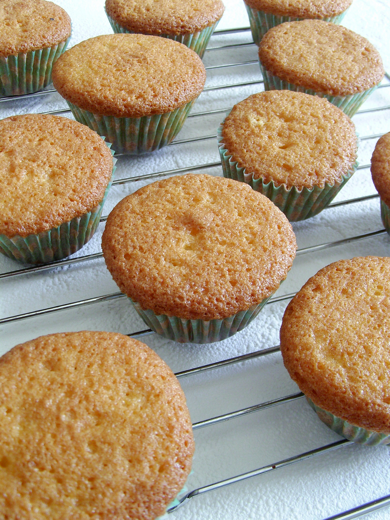 best vanilla cupcakes recipe soft moist vanilla cupcakes