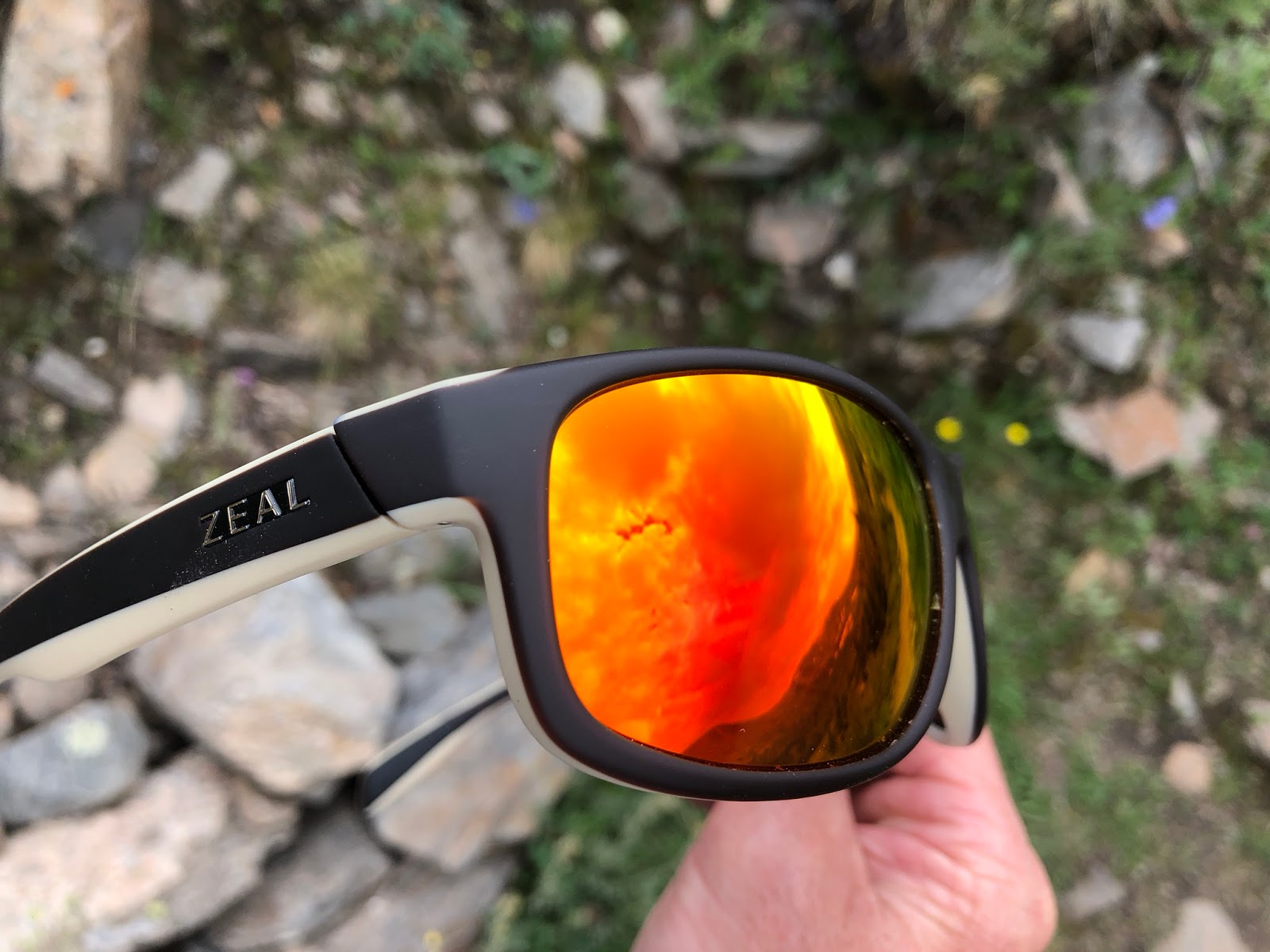 polarized titanium mirrorshield