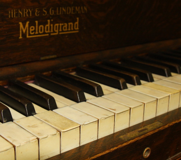 WeForWildlife The Illegal Ivory Trade Part 2The Ivory Trade