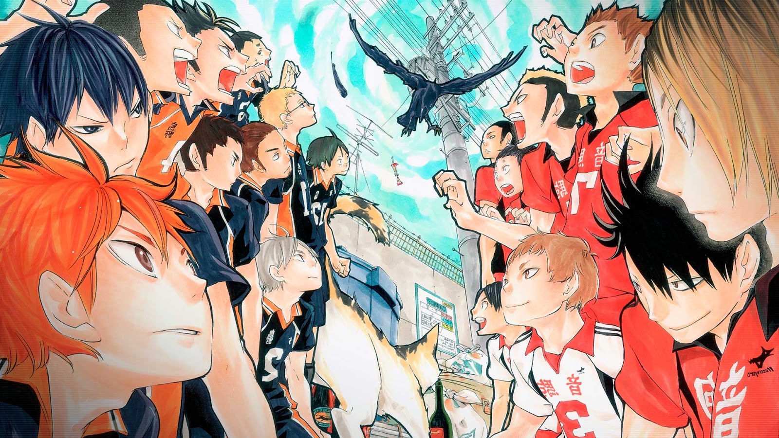 Haikyuu anime haikyuu hinata japan kageyma HD phone wallpaper  Peakpx