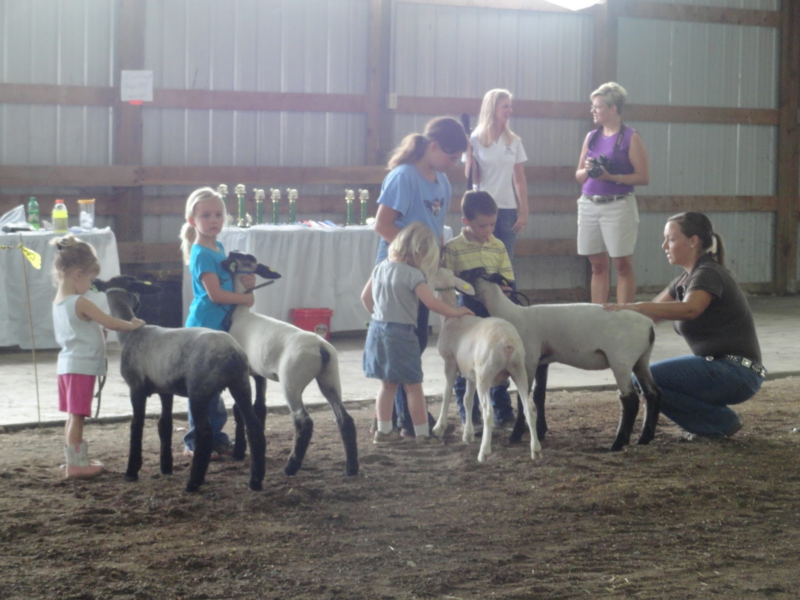 BarnScoop Photos from Hart County Fair 4H Market Lamb, Market Hog