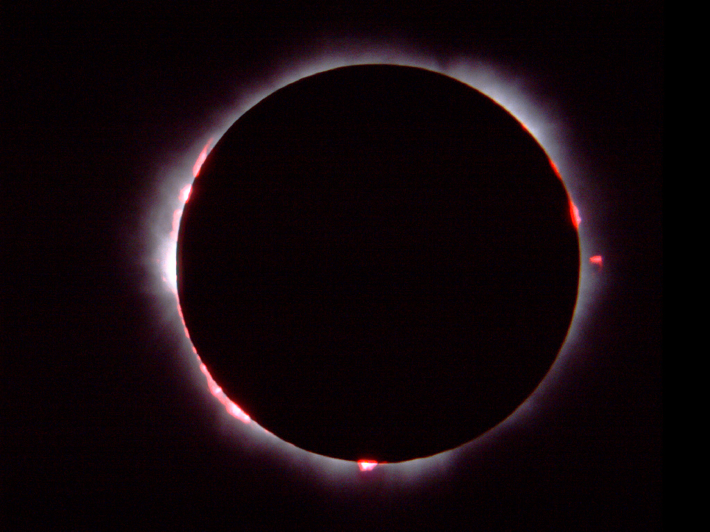 затмение в весах 2024