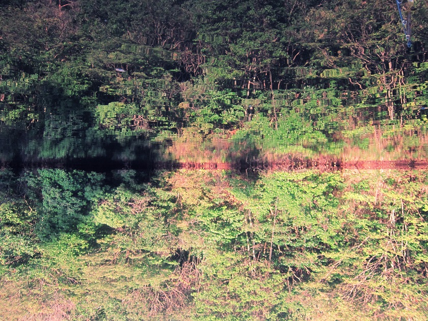 STANDARD CUSTOM PAINT eater