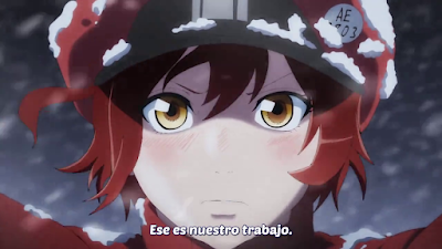 Ver Hataraku Saibou Hataraku Saibou - Capítulo 13