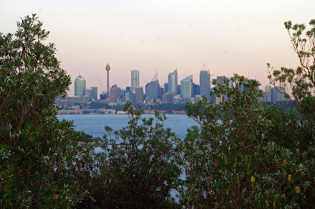 Sydney Skyline from the Gap