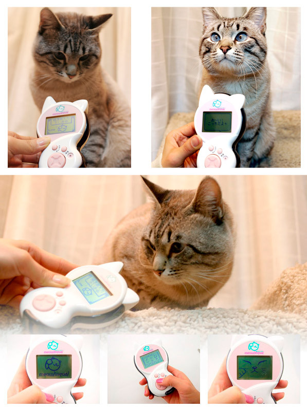 جهاز Meowlingual Cat Translation يمكنكم من فهم لغة القطط