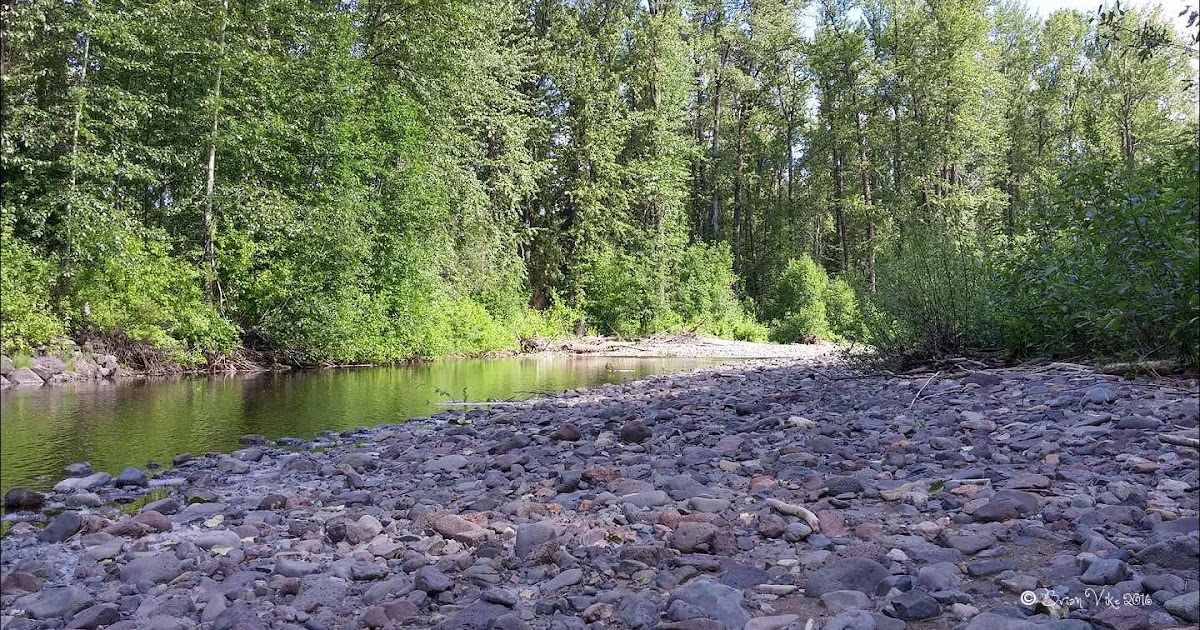 Northern Interior British Columbia June Photos Buck Creek Houston