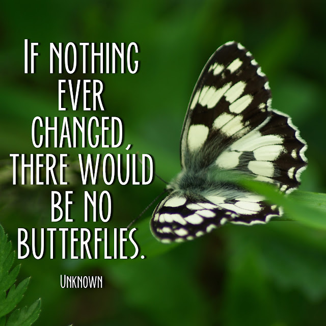 If nothing ever changed, there would be no butterflies. - Unknown