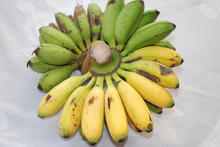  Hampir semua orang mengetahui bahwa buah pisang tak hanya nikmat tetapi juga sehat Beragam Manfaat Pisang Mas