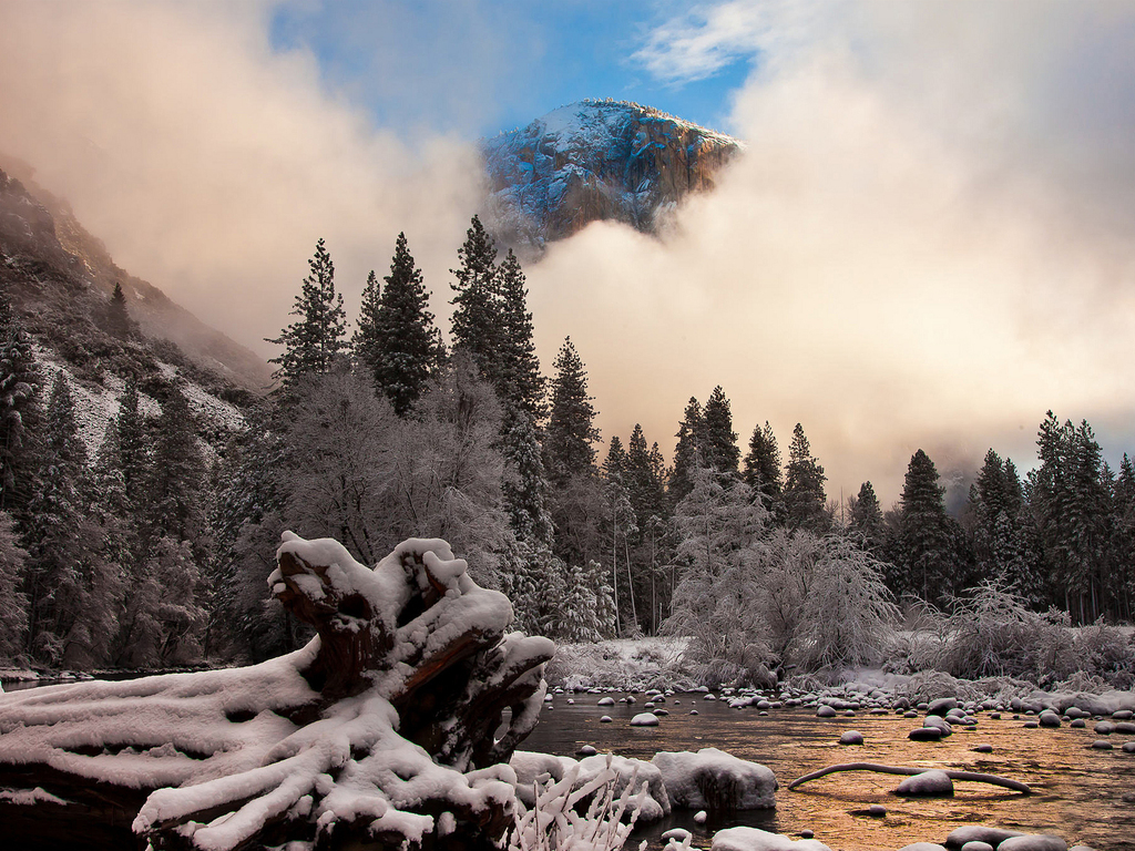 National Park Of Yosemite Natural Creations