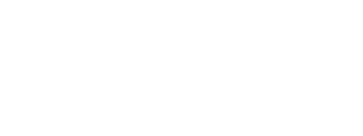 Tierheim Kiel - Tagebuch
