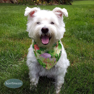 Pink Flamingo Paradise Summer Dog Bandana