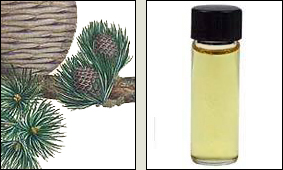 ÓLEOS AROMÁTICOS: Cedro