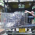 (படங்கள்) சட்டவிரோத மினி மிருகக்காட்சிசாலை சிக்கியது. #zoo