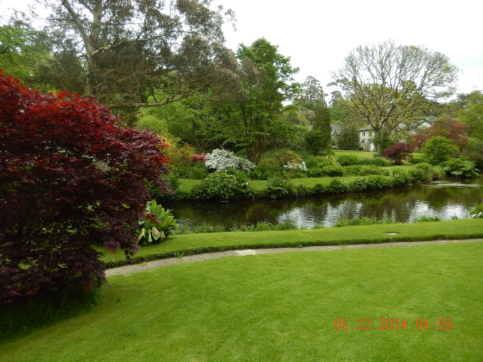 Graceful Blossoms Mount Usher Gardens, Ashford, County Wicklow, Ireland