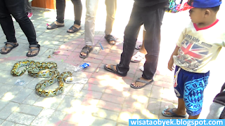 Taman Prestasi Surabaya ular besar