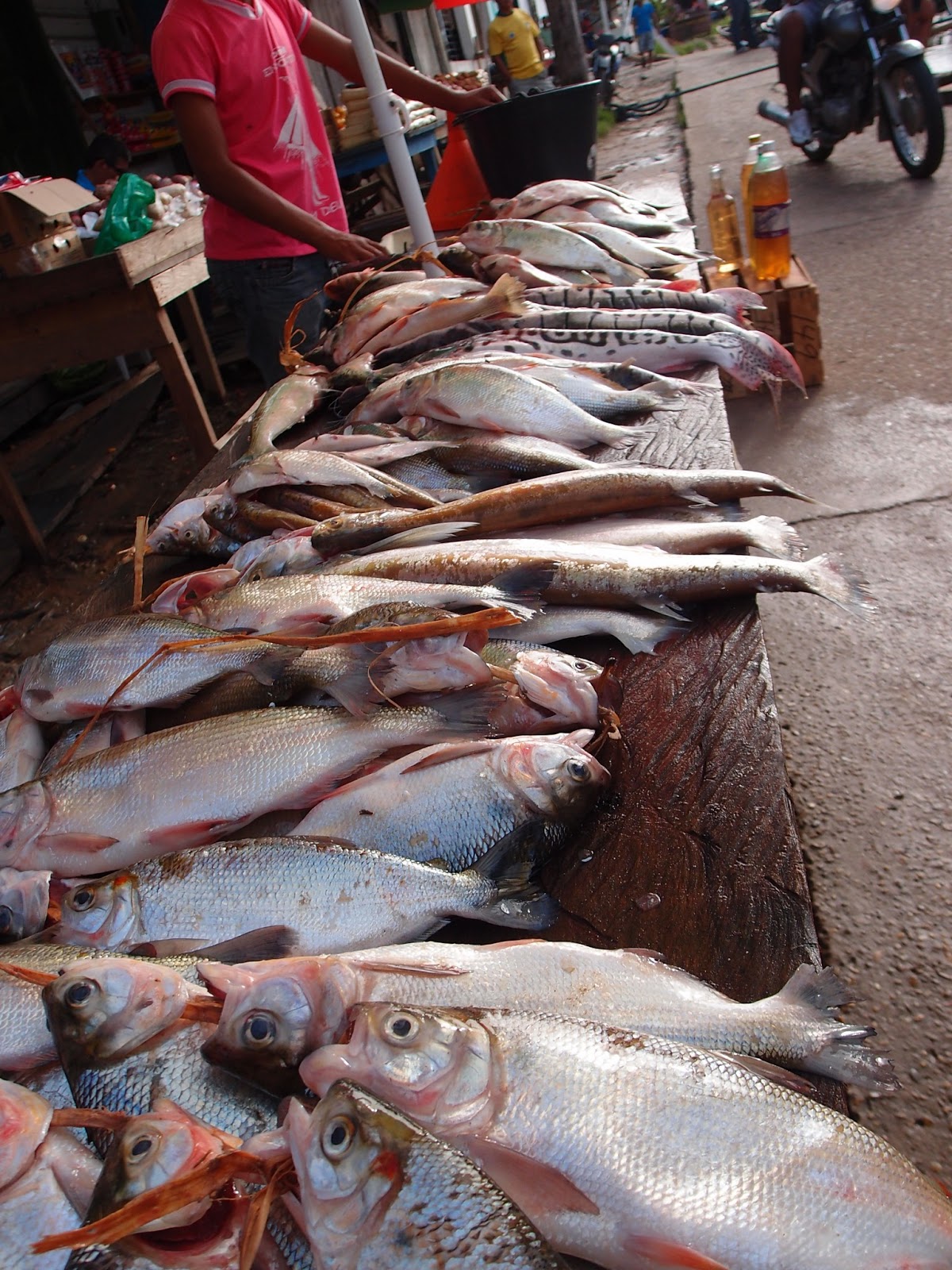 Pushing Pesos: Manaus to Tabatinga Amazon river boat - BRAZIL