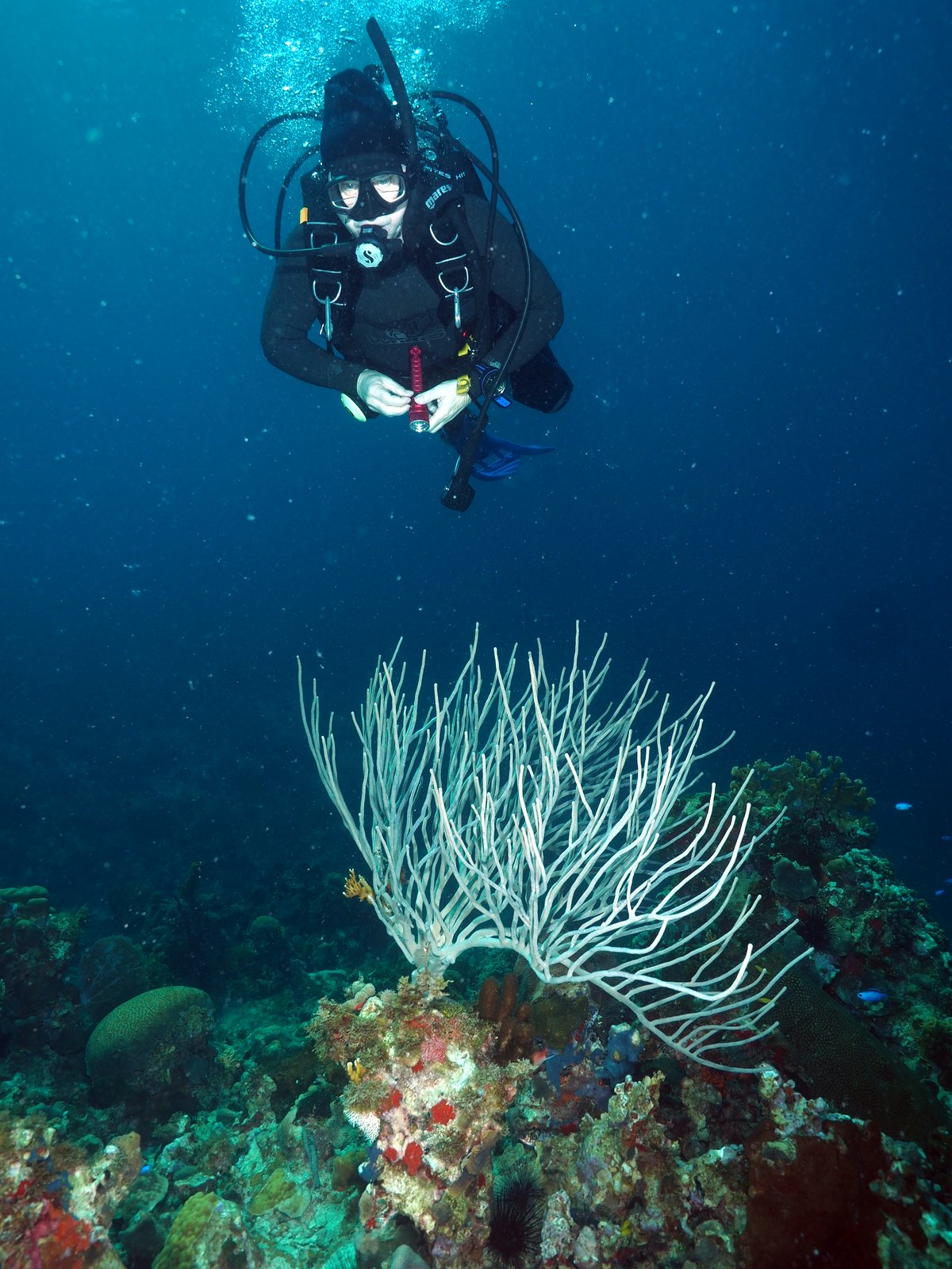 Photo Gilles Bourbonnais Best of Jamaica... Ya man... Respect