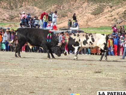 SAN PEDRO DE TOTORA Provincias de Bolivia