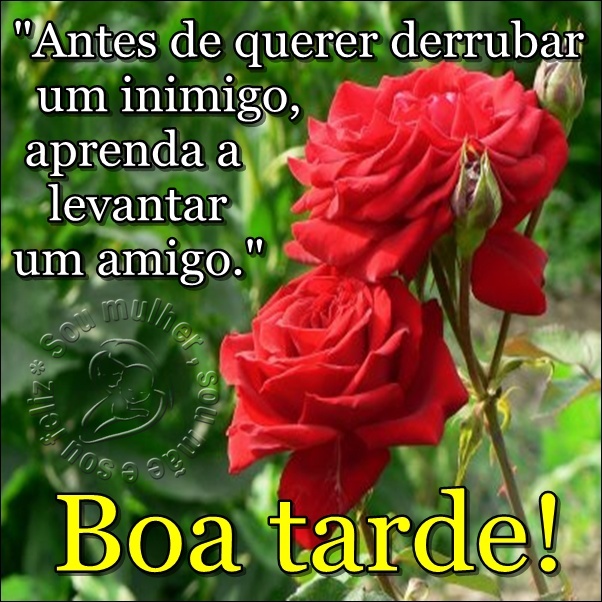 Boa tarde com muita paz e alegrias. | Sou mulher, sou mãe e sou feliz!