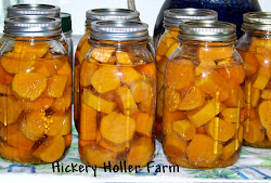 potatoes canning sweet pressure jars hickery canner recipes raw water pounds quarts minutes process holler farm