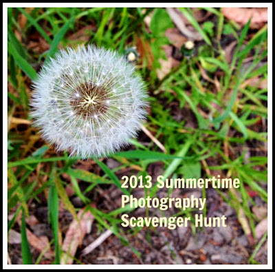 2013 Summertime Photography Scavenger Hunt