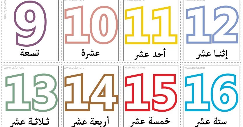 بطاقات الأرقام من 0 20 مع التسمية مشروع عصفور التعليمي