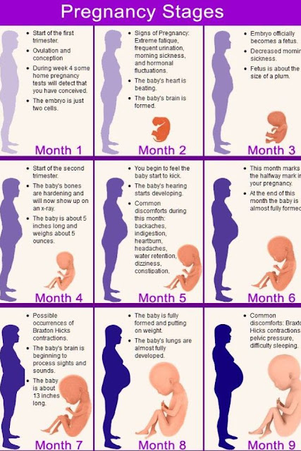 Kliping tentang Perempuan: Perubahan Selama Kehamilan (Bulan 6)