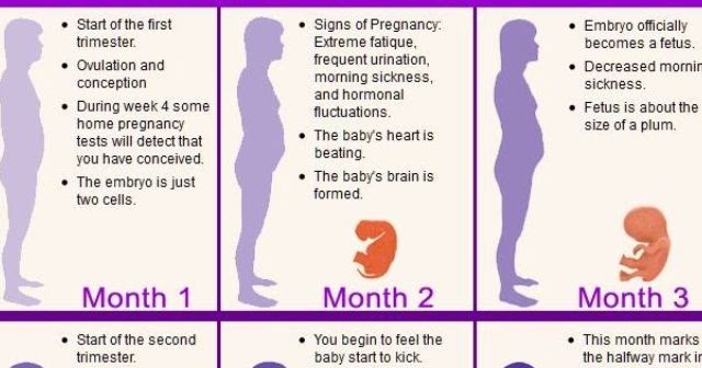 Kliping tentang Perempuan: Perubahan Selama Kehamilan (Bulan 6)