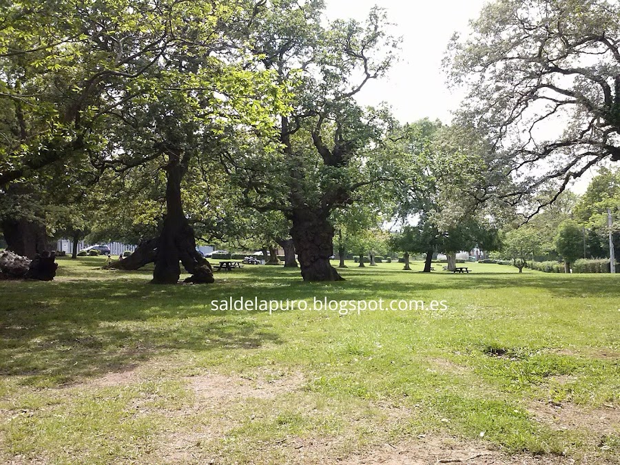 carbayera-tragamón-gijón