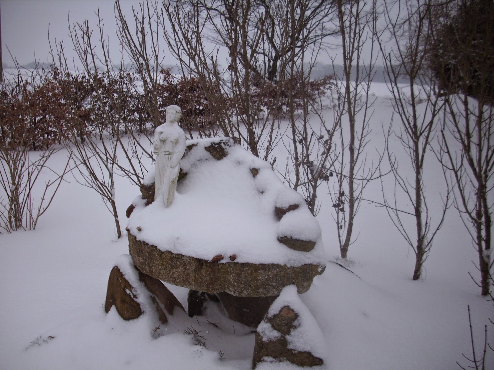 KIM BARKMANN SCHREIBT: Ein Hund kam zur Hintertür herein