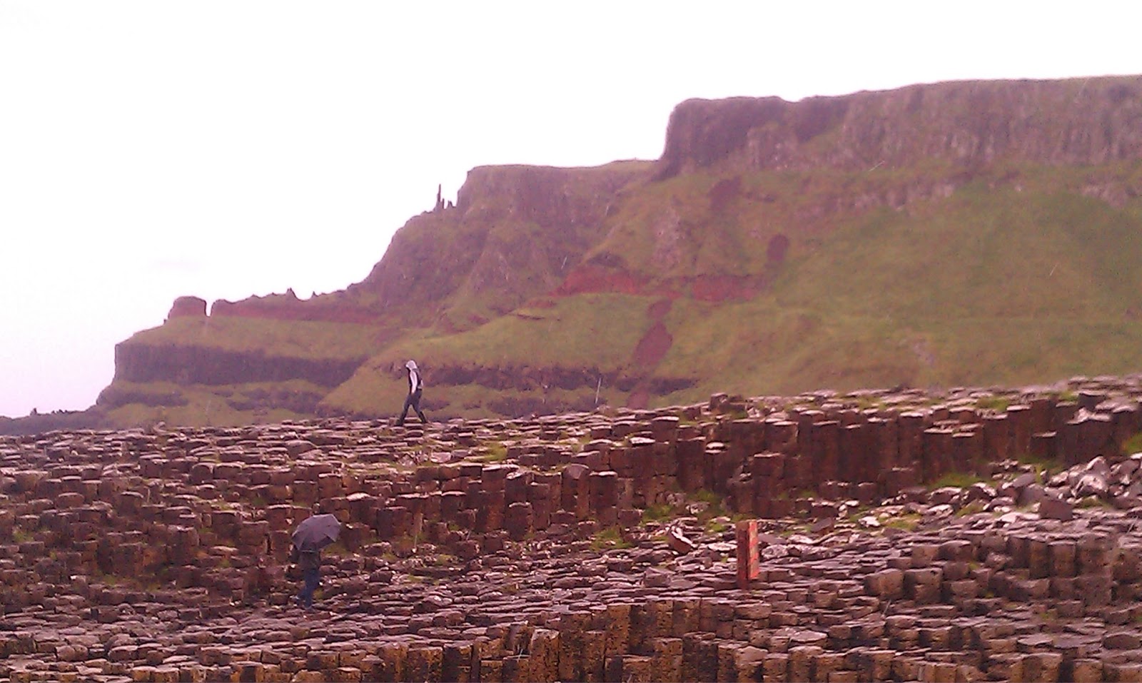 The Green Cat's Corner La costa de Irlanda del Norte la calzada de
