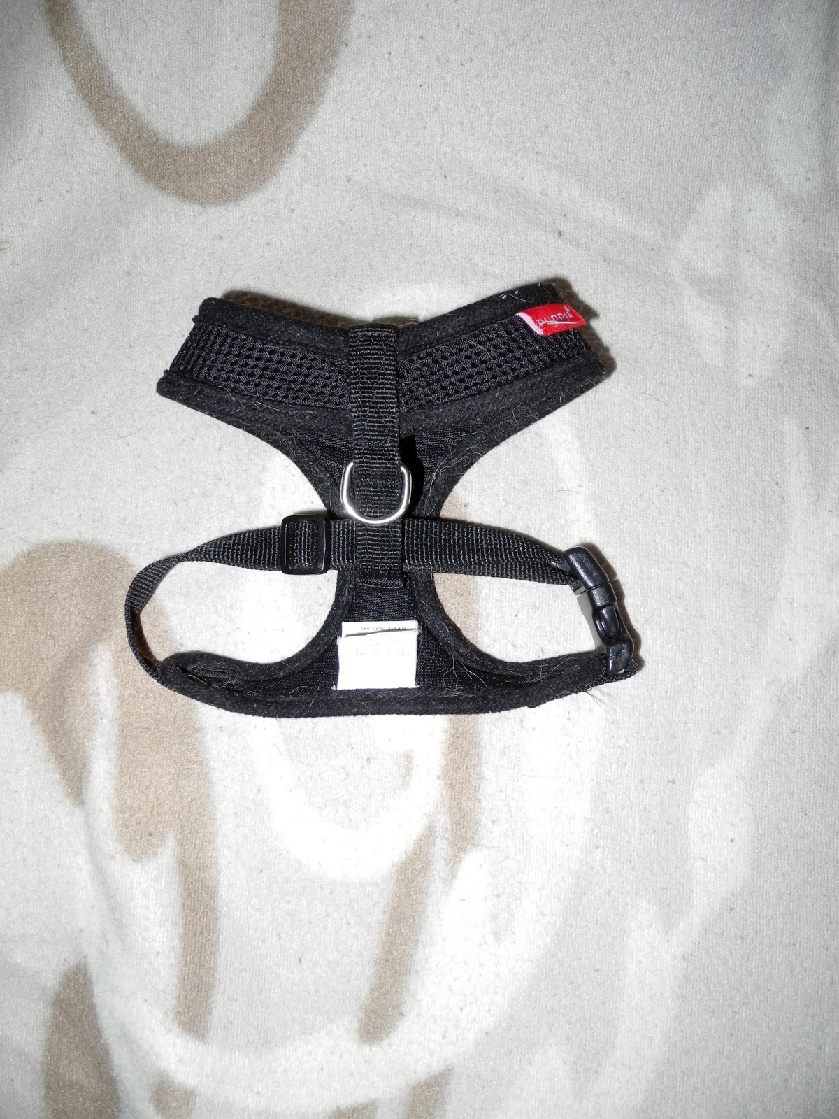 Rocky's Blog Puppia Harnesses