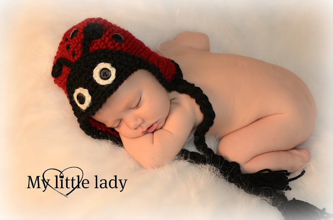 Little Lady Bug Hat